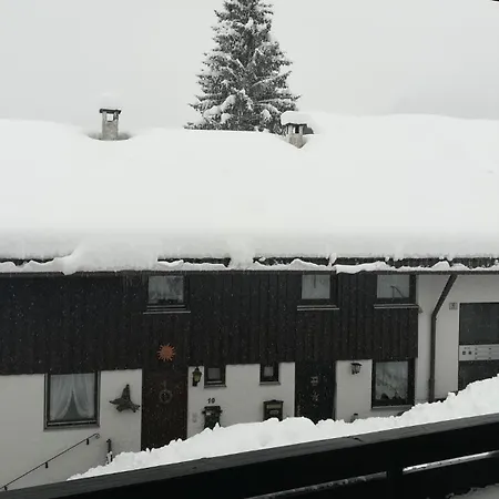 Alpenglöckchen, Oberstaufen/steibis *